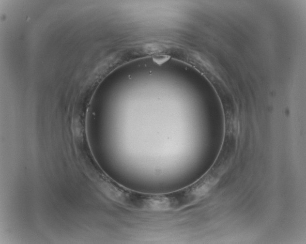 X0000072550317200607141259