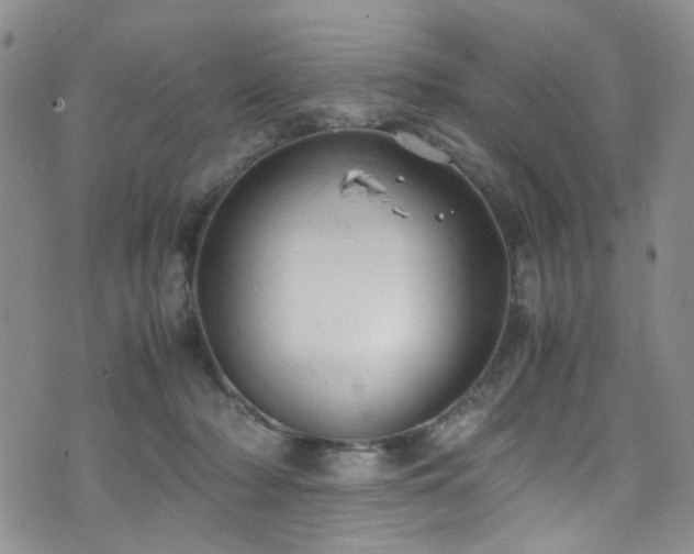 X0000072550318200607141259