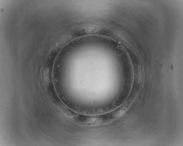 X0000072550319200607141259