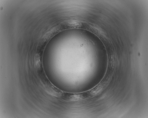 X0000072550320200607141259