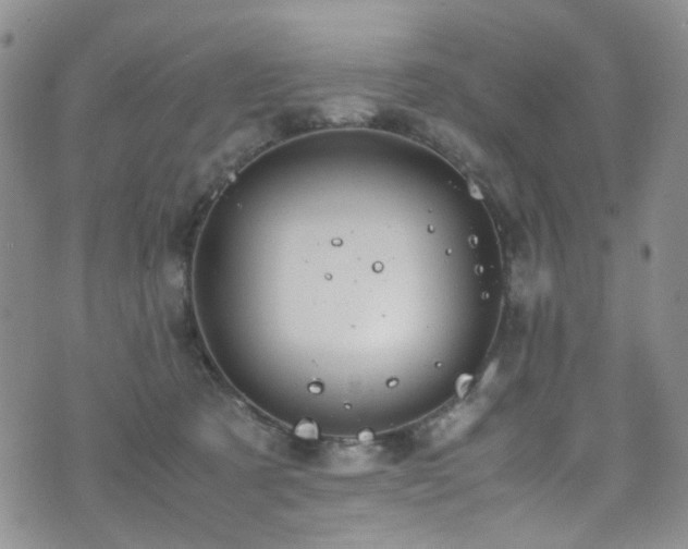 X0000072550321200607141259