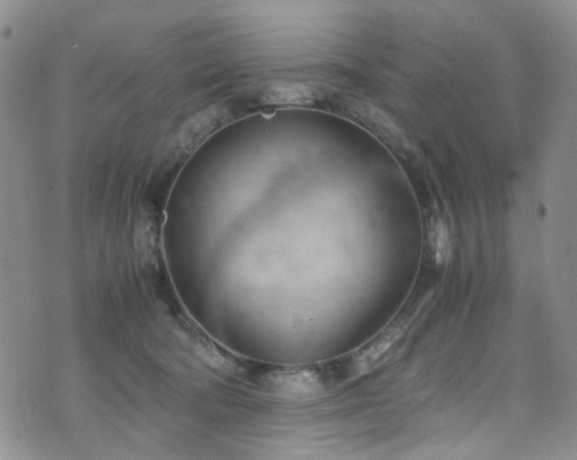 X0000072550322200607141259