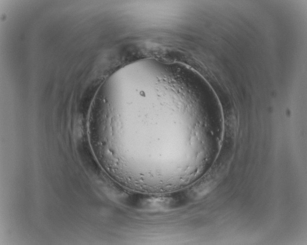 X0000072550323200607141259