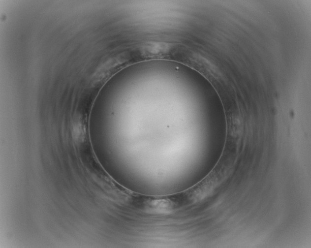 X0000072550324200607141259