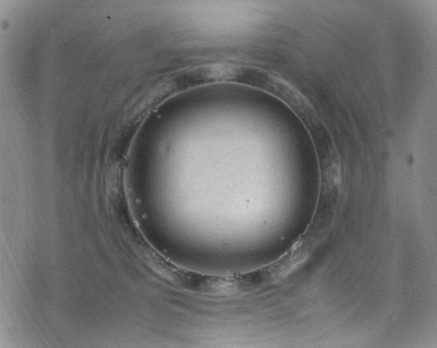 X0000072550325200607141259