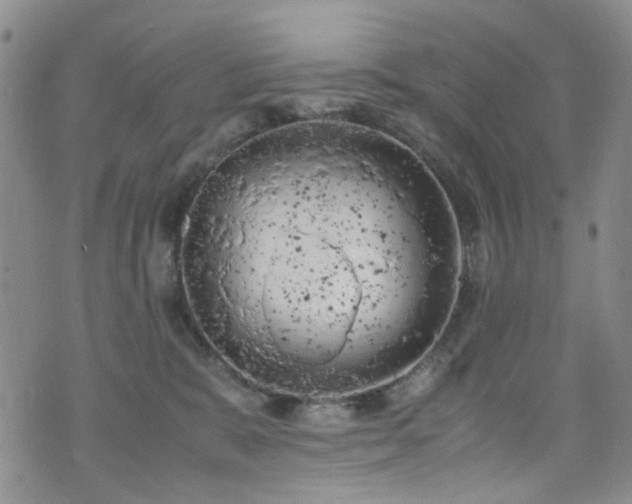 X0000072550327200607141259