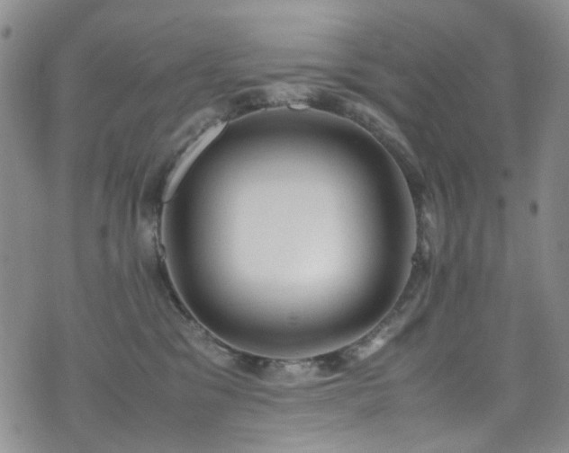 X0000072550329200607141259