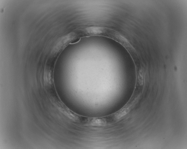 X0000072550330200607141259