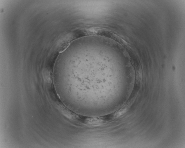 X0000072550331200607141259