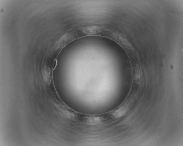 X0000072550332200607141259