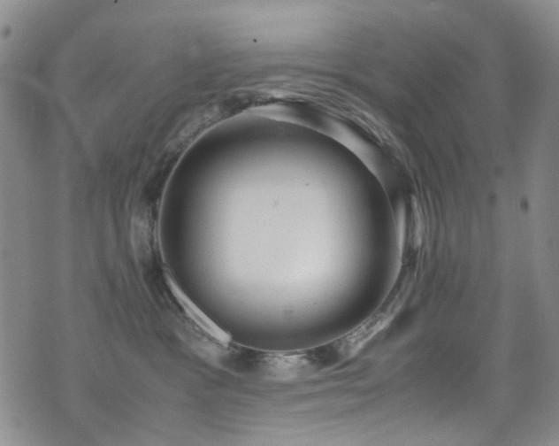 X0000072550333200607141259