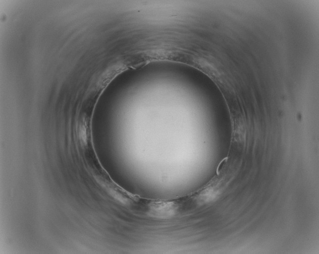 X0000072550334200607141259