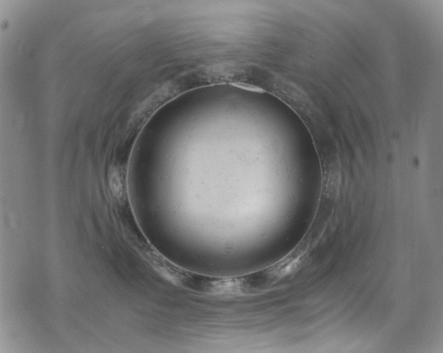 X0000072550335200607141259