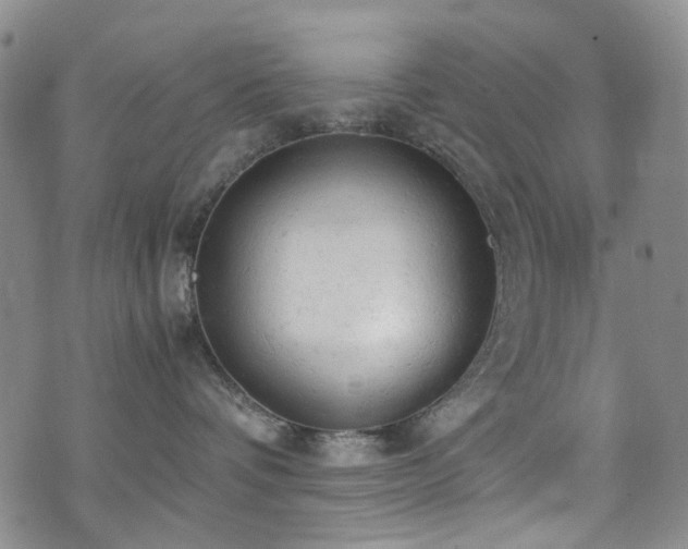 X0000072550336200607141259