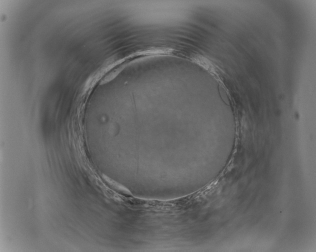 X0000072550337200607141258