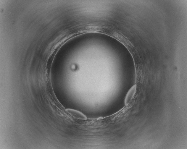 X0000072550338200607141258