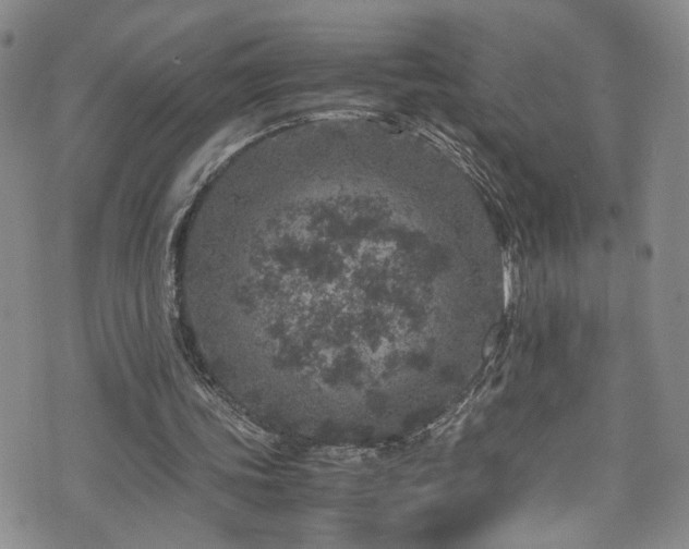 X0000072550339200607141258