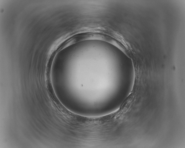 X0000072550340200607141258