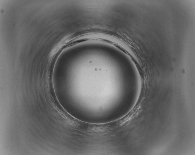 X0000072550341200607141258