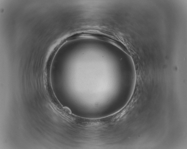 X0000072550342200607141258