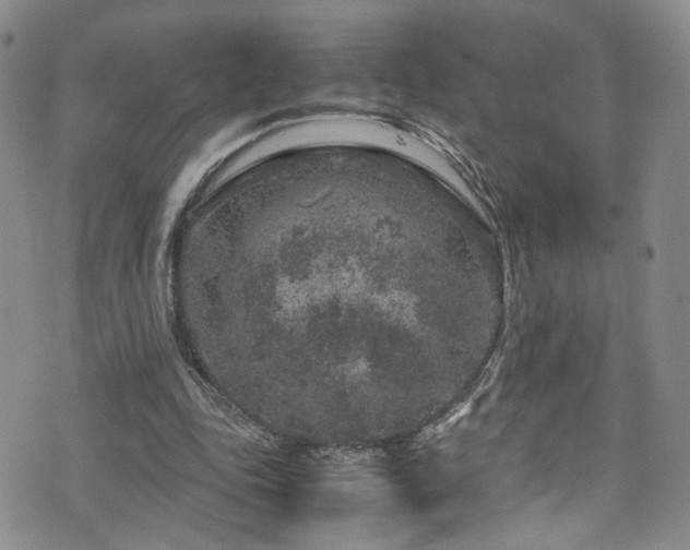 X0000072550343200607141258