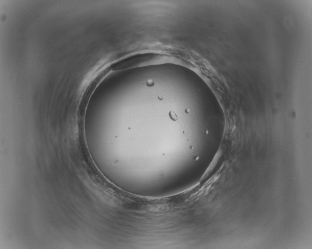 X0000072550344200607141258