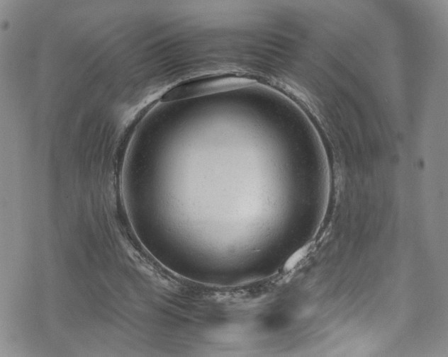 X0000072550345200607141258