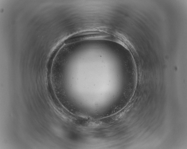 X0000072550346200607141258