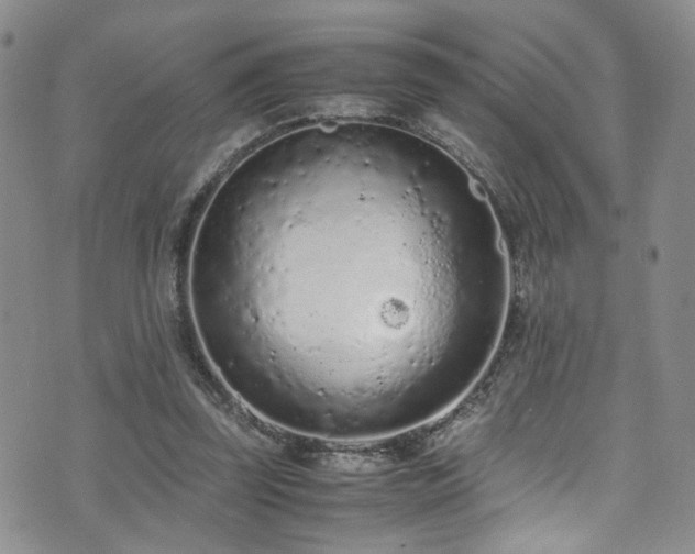 X0000072550347200607141258