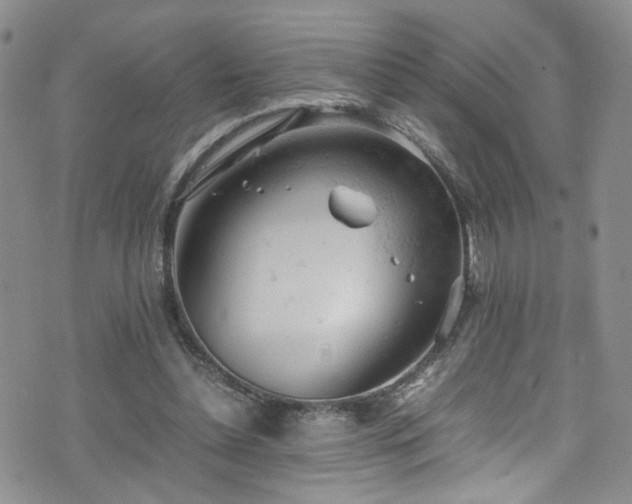 X0000072550348200607141258