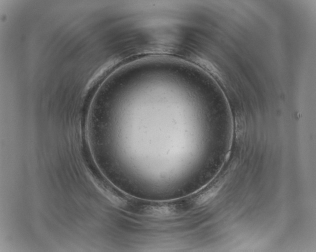 X0000072550349200607141258