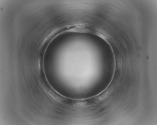 X0000072550350200607141258