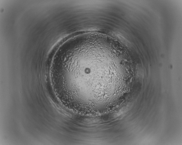 X0000072550351200607141258