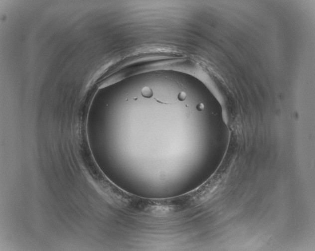 X0000072550352200607141258