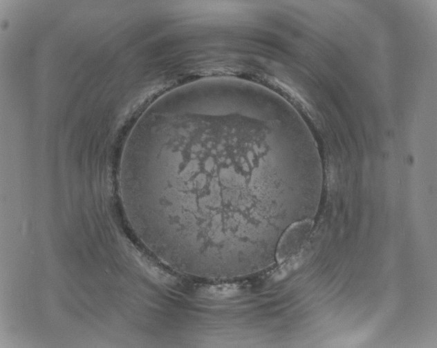 X0000072550353200607141258