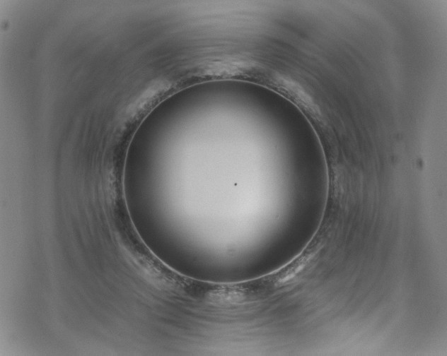 X0000072550354200607141258