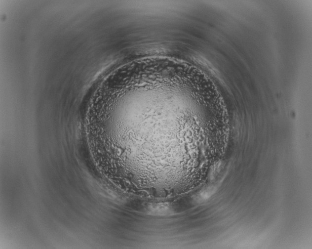 X0000072550355200607141258