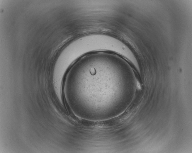 X0000072550356200607141258