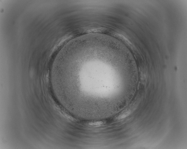 X0000072550357200607141258