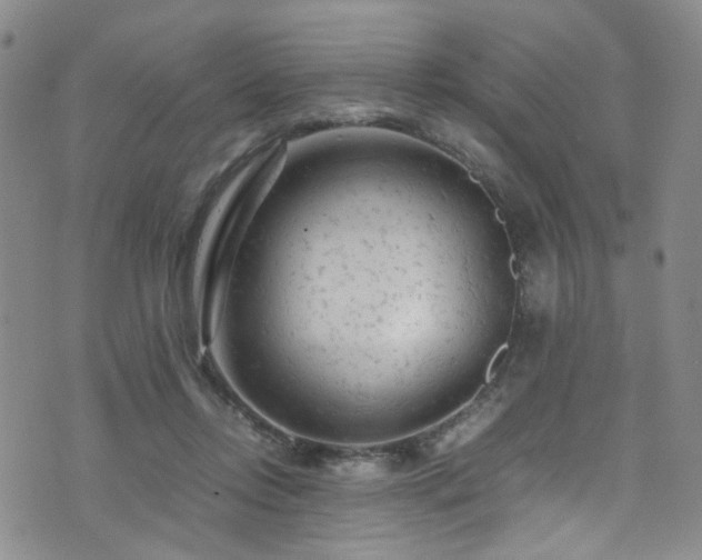 X0000072550358200607141258