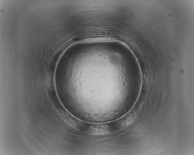 X0000072550359200607141258