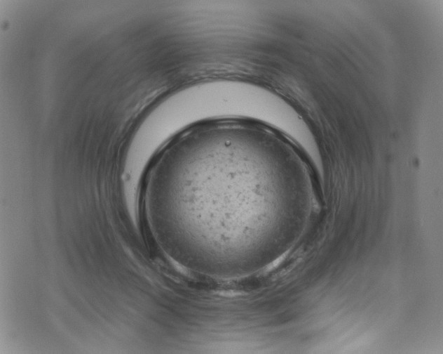 X0000072550360200607141258