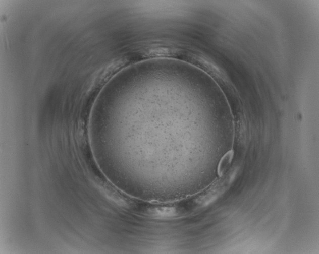 X0000072550361200607141258