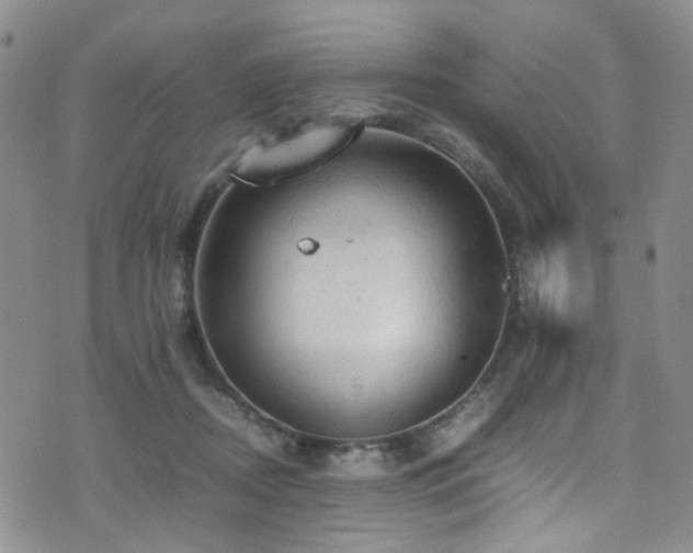 X0000072550362200607141258