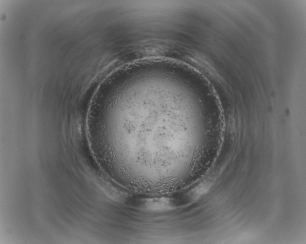 X0000072550363200607141258