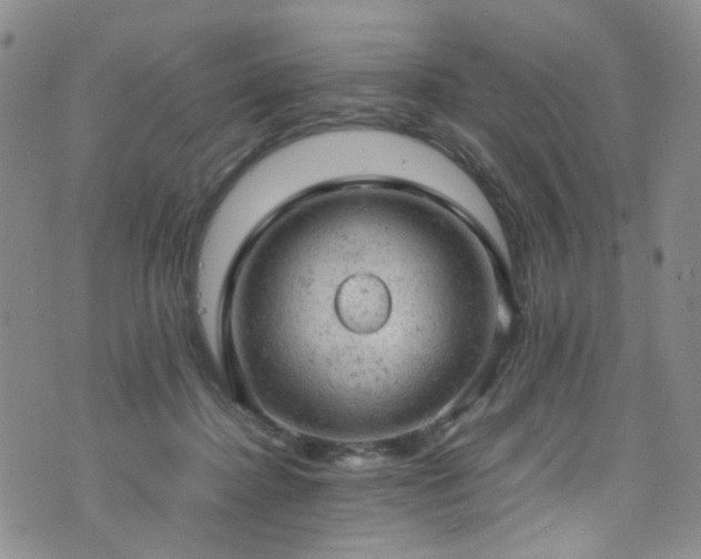 X0000072550364200607141258