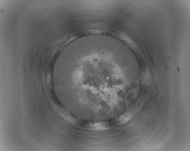 X0000072550365200607141258