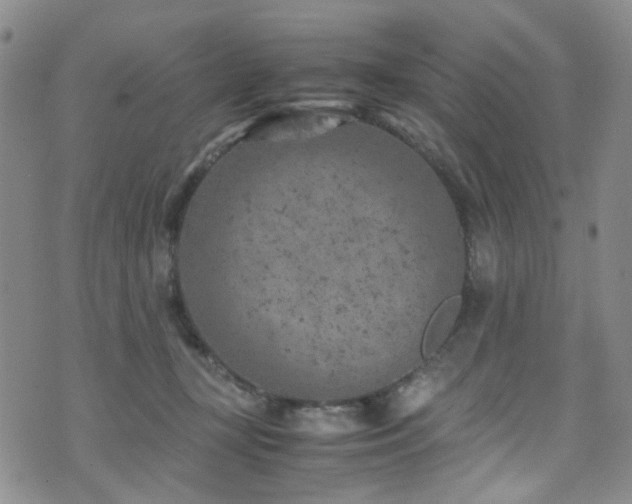 X0000072550367200607141258