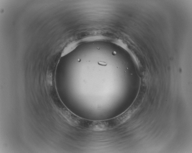 X0000072550368200607141258