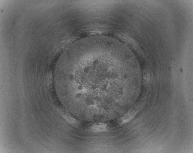 X0000072550369200607141258